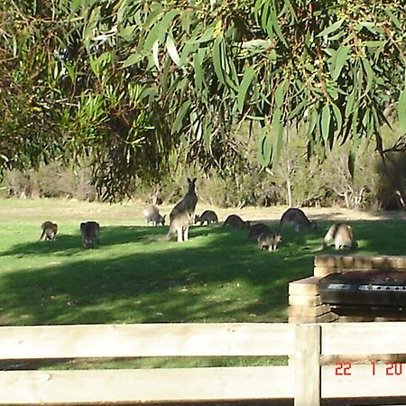 Mountain View Motor Inn&Holiday alojamientos Halls Gap Exterior foto